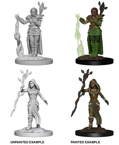 D&D: Nolzur's Marvelous Miniatures - Human Female Druid