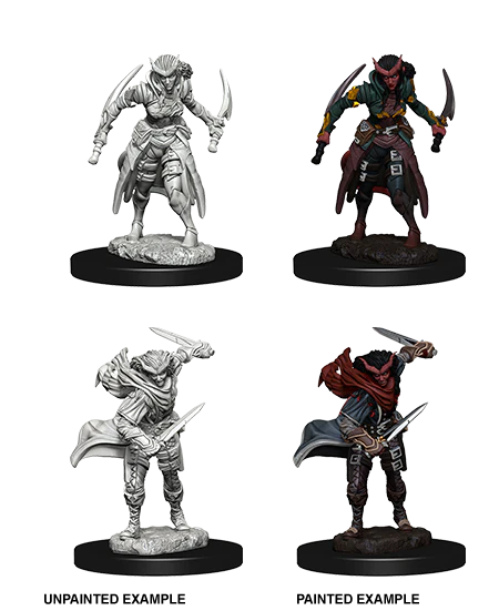 D&D: Nolzur's Marvelous Miniatures - Tiefling Female Rogue