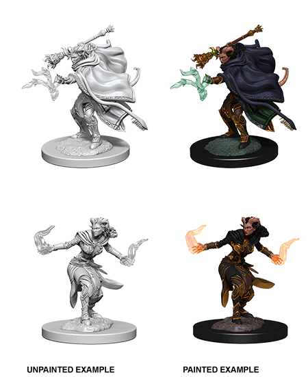 D&D: Nolzur's Marvelous Miniatures - Tiefling Female Warlock