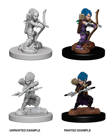 Pathfinder: Deep Cuts - Gnome Female Rogue